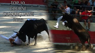 TOP 10 COURSE CAMARGUAISE 2023 [upl. by Astred]