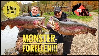 Die Monster im Forellensee  Wir fangen Forellen über 10 Kilo [upl. by Wolcott]