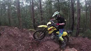 Ourimbah Bush bash [upl. by Shields]