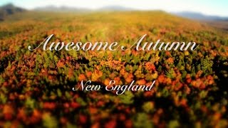 Awesome Autumn  New England Foliage in 4k  Little Big World  Time lapse amp tilt shift [upl. by Jehanna522]