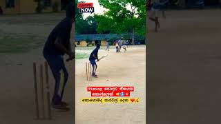 🏏❤️💥 cricket lankasoftballcricket softball softball cricketlover srilankasoftballcricket [upl. by Valina]