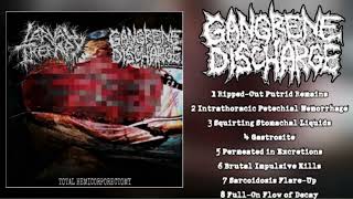 Split W Larval Therapy  Gangrene Discharge 2024 GOREGRIND [upl. by Saundra]