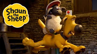 Babysitter Bitzer  Bitzers New Whistle  2 x Episodes S5  Shaun the Sheep [upl. by Baily]