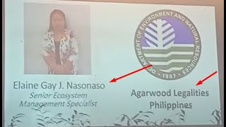 Agarwood Farming In The Philippines 101  THE LEGAL WAY  DENR APPROVED  AGARWOOD 2024 [upl. by Lletram]