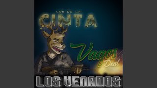 Los Venados [upl. by Kora]