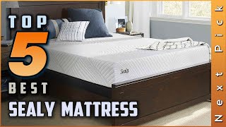 Top 5 Best Sealy Mattresses Review In 2024  On The Market Today [upl. by Martie]