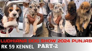 Exciting Ludhiana 2024 Puppy Market and Dog Show  Ludhiana Dog Show 2024 Punjab [upl. by Alegnaoj113]