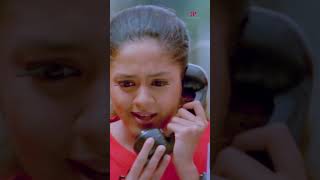 Watch 👆 Raakilipattu Movie Scenes raakilipaatu jyothika sharbanimukherjee tabu shorts [upl. by Airalav683]