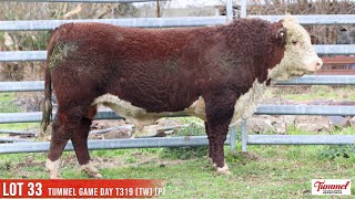 LOT 33 TUMMEL GAME DAY T319 TW P [upl. by Ahsikahs]