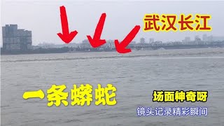 武汉长江和汉江江面，中间出现一条分割线，如今成为城市景观 [upl. by Maier163]