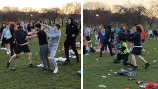 Scotland Brawl in Edinburgh park as police officer reportedly injured [upl. by Atilemrac607]