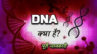 What is DNA With Full Information – Hindi – Quick Support [upl. by Aisorbma]