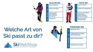 Welcher Typ Ski ist der Beste für Sie [upl. by Anib251]