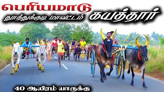 தூத்துக்குடிமா கயத்தார் 40 ஆயிரம்பந்தயம்24022024 [upl. by Marceau]