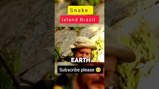 SNAKE ISLAND  BRAZIL dangerous snakeisland shorts brazil survive save wildlife nature [upl. by Koloski]