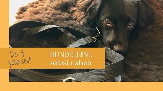 Hundeleine einfach selbst nähen  Do it yourself [upl. by Nwad]