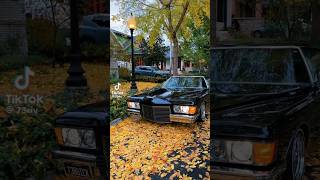 1973 Buick Riviera 🤩 🍂 fall fallcolors lowrider classiccar [upl. by Cirderf]