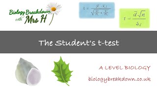 Students ttest Paired and Unpaired  A Level Biology [upl. by Enyawud]