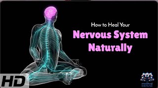 Natural Nervous System Healing Proven Techniques for Better Health [upl. by Arak]