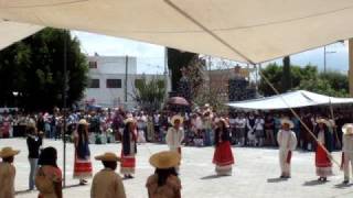 bailables folkloricos de mexico [upl. by Arbmat]