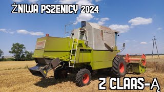 âś© Ĺ»niwa pszenicy 2O24 ă‹ˇ Claas Dominator 150 Hydro Drive âś© [upl. by Kcirederf]