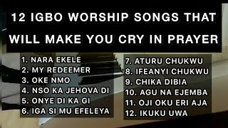 20 Minutes Igbo Worship Playlist To Pray With  Igbo Worship Songs 2024 [upl. by Enirehtac]