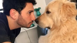 When your dog is your best friend🐶 Funniest Dog and Human [upl. by Inot]