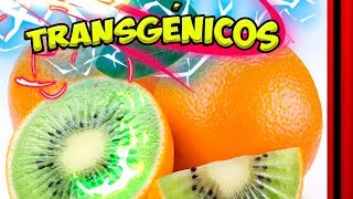 ⭕ TRANSGÉNICOS son peligrosos 🥕 Las 5 pruebas definitivas [upl. by Norvol]