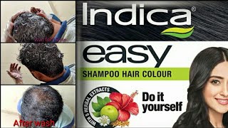 How to Apply Indica Easy Hair Colour Shampoo in 10mins Black Hair Colour [upl. by Gaither]