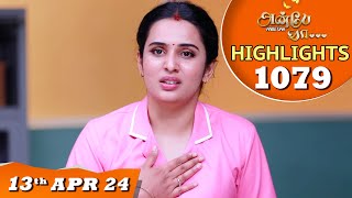 Anbe Vaa Serial  EP 1079 Highlights 13th April 24  Virat  Shree Gopika  Saregama TV Shows Tamil [upl. by Awjan]