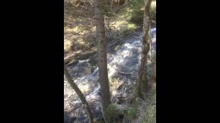 Mittenwald Germany  mountain stream [upl. by Kelula]