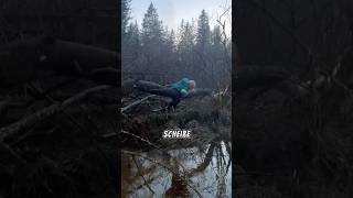 Wald Ausflug mit kleinem Bruder bruder wald ausland action natur bäume [upl. by Coltun]