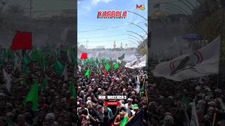 Jis Gali Se Guzarti Hai Karbala  Mir Brothers  karbalawalk najaftokarbalawalk [upl. by Atinehc]