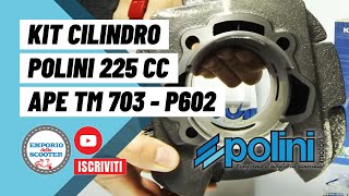 KIT CILINDRO POLINI 225cc APE TM 703 P602 ecc  emporiodelloscootercom [upl. by Lustig534]