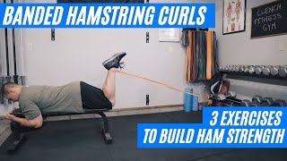 Resistance Band Hamstring Curl  3 Variations [upl. by Meridith]