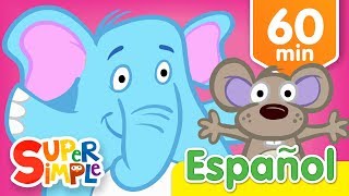 Abre Cierra Y Más Canciones Infantiles  Música Para Niños [upl. by Constantia]