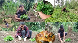 Khursani Ko Kheti hudai cha joda jor Rural life in village vlog [upl. by Man]