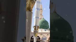 Aone video 🥰👍viralvideo islamicshort islamic lovesong sub subscriber youtubeshorts youtuber [upl. by Jennilee]