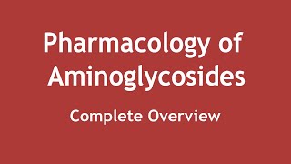 Pharmacology of Aminoglycosides  Complete Overview ENGLISH  Dr Shikha Parmar [upl. by Matthaeus]