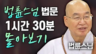 법륜스님 법문 1시간 30분 연속 듣기│법륜스님 편🙏 명법문만 모았다 명중명💡 법륜스님 즉문즉설 인생 [upl. by Gnouv]