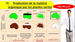 Les conditions de productions de la matière organique chez les plantes chlorophylliennes [upl. by Auahsoj]