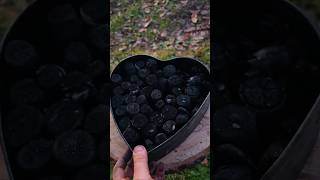 Making Natural Charcoal bushcraft survival lifehacks campfire [upl. by Eniamrej]