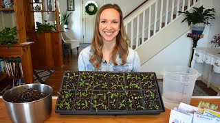 How to start seeds indoors with step by step instructions and demonstrations Northlawn Flower Farm [upl. by Swee]