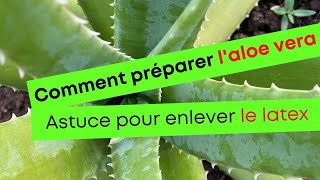 Préparer L’aloe vera astuce latex [upl. by Eseerahs115]