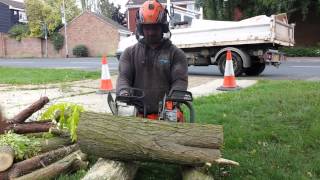 Stihl ms201t vs Husqvarna t540xp [upl. by Trimmer]