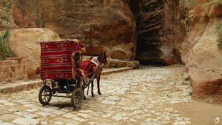 Petra And The Lost Kingdom Of The Nabataeans  Documentary [upl. by Alletse330]