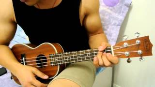 If I Didnt Have You Bernadettes Song The Big Bang Theory Ukulele Cover [upl. by Janie]