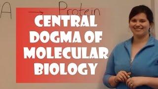 Central Dogma of Molecular Biology [upl. by Erasmo]