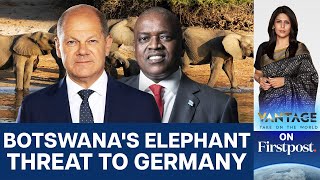 Botswana Threatens to Send 20000 Elephants to Germany  Vantage with Palki Sharma [upl. by Millie797]