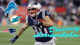 Danny Amendola Highlights [upl. by Key913]